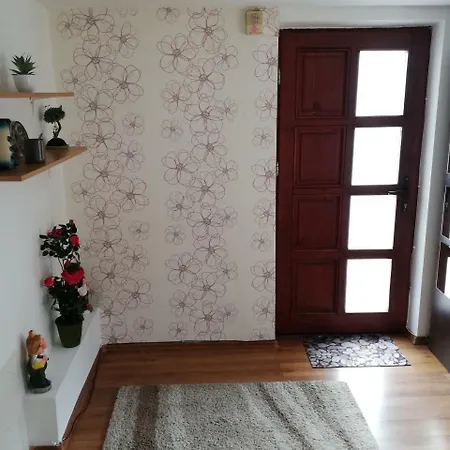 Arina's Brasov