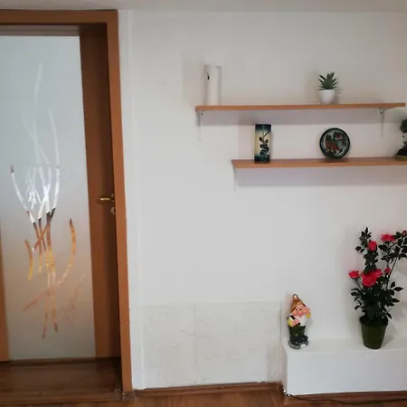 Apartment Arina's Brasov